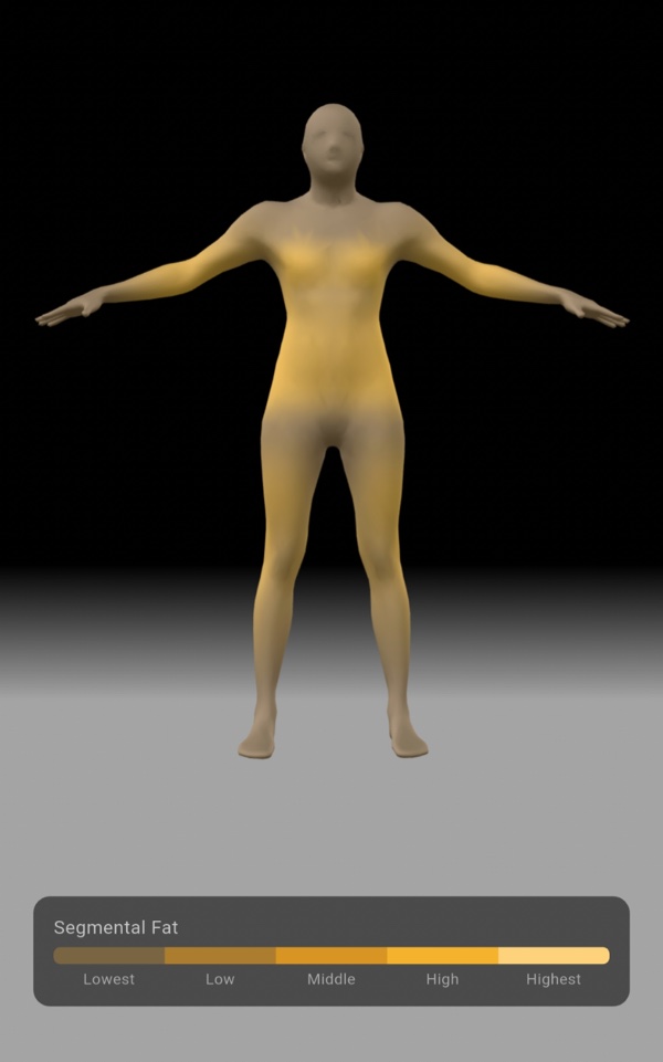 3D body model preview