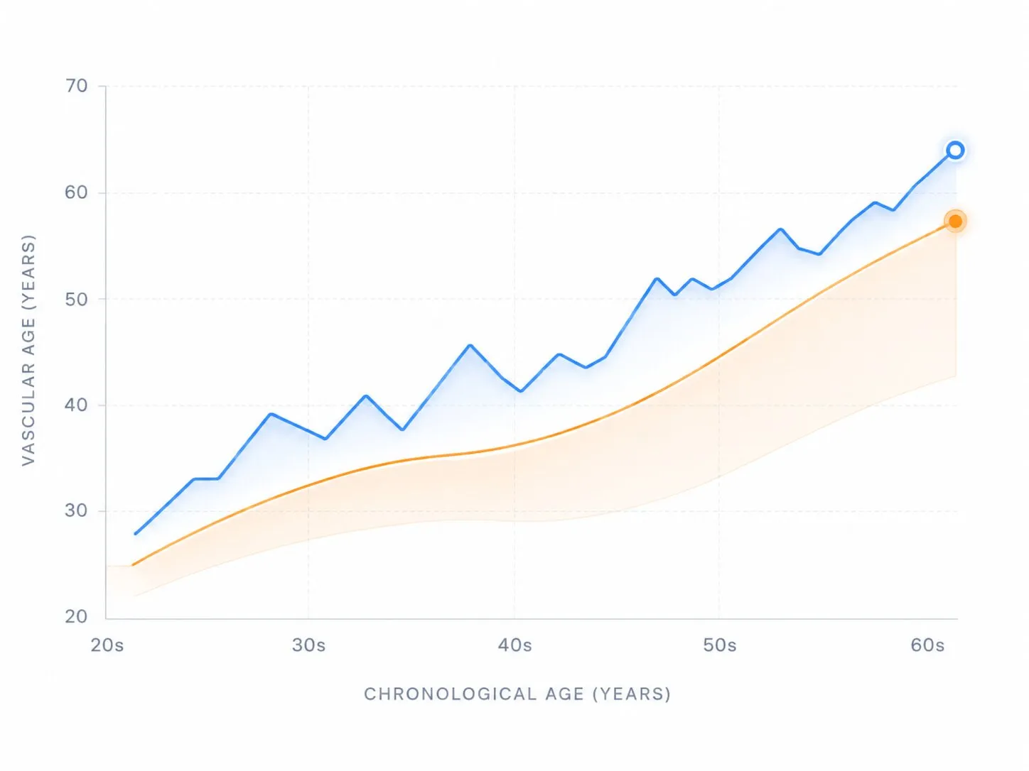 Vascular age trajectory chart